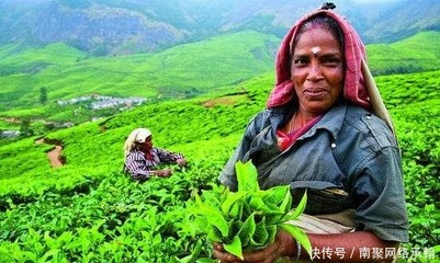 料羅灣海戰(zhàn) 明朝水師重挫荷蘭艦隊，東亞海權(quán)爭奪戰(zhàn)的歷史轉(zhuǎn)折